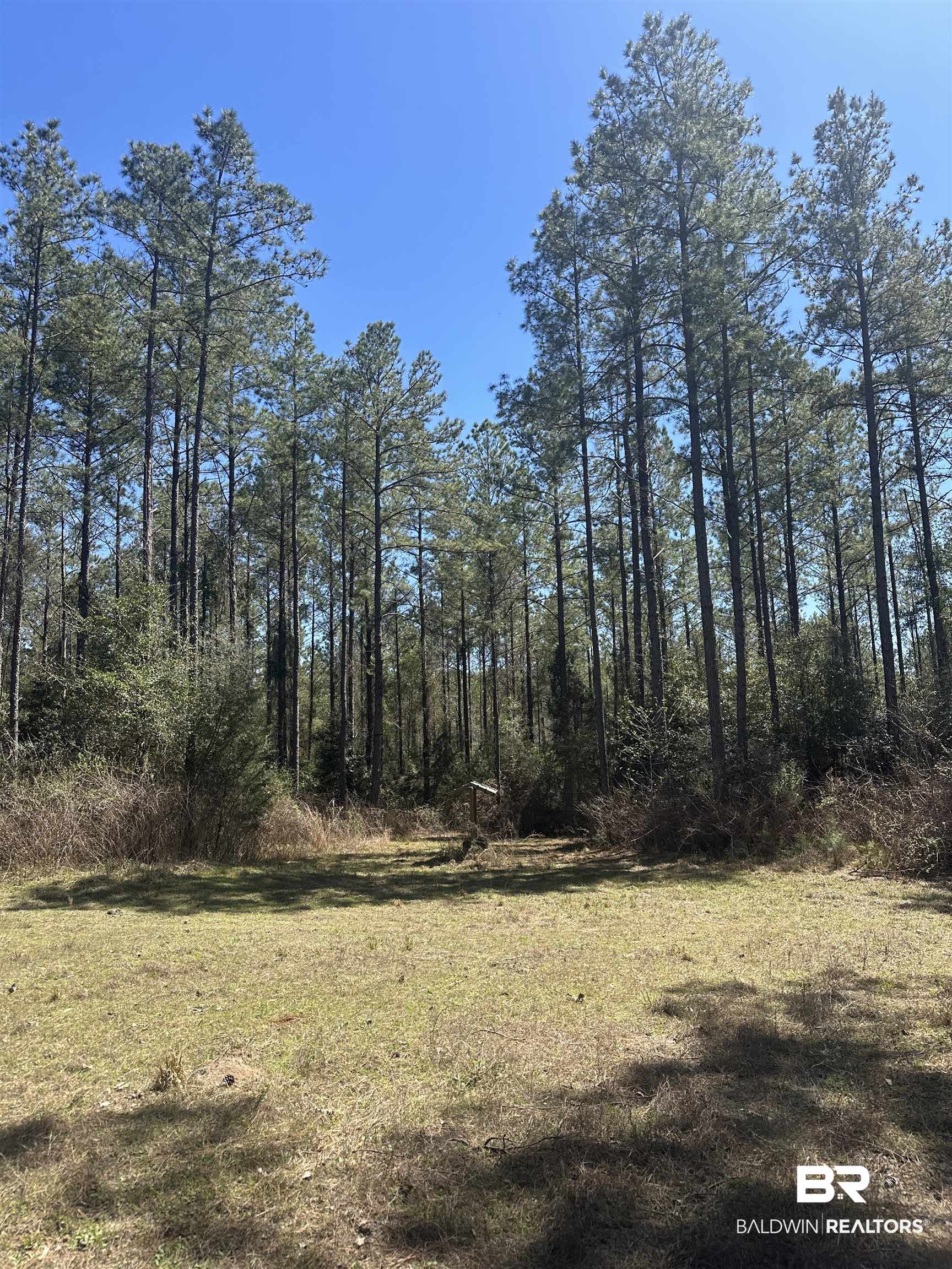 8557 County Road 34 Millry, AL 36558 - Photo 30 of 36 View of landscape
