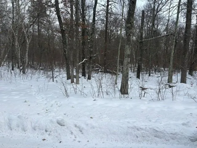 $59,000 | L7-b1 Bonnie Lakes Road, Crosslake, MN 56442