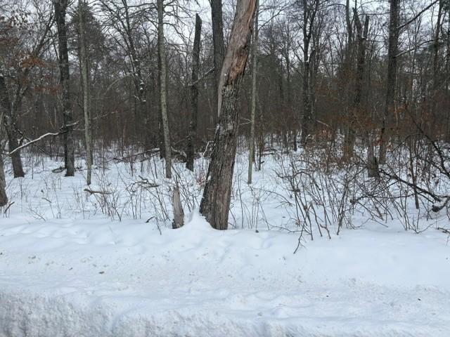 L7-b1 Bonnie Lakes Road Crosslake, MN 56442 - Photo 2 of 4