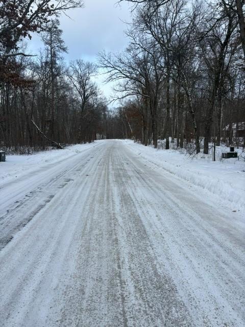 L7-b1 Bonnie Lakes Road Crosslake, MN 56442 - Photo 3 of 4