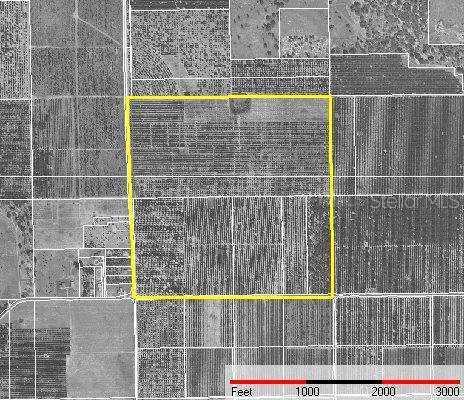 Lake Mabel Rd Lake Lake Wales, FL 33898 - Photo 1 of 1 Other