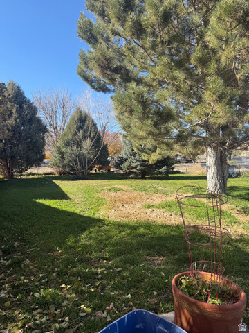 665 Molen Road Ferron, UT 84523 - Photo 16 of 21