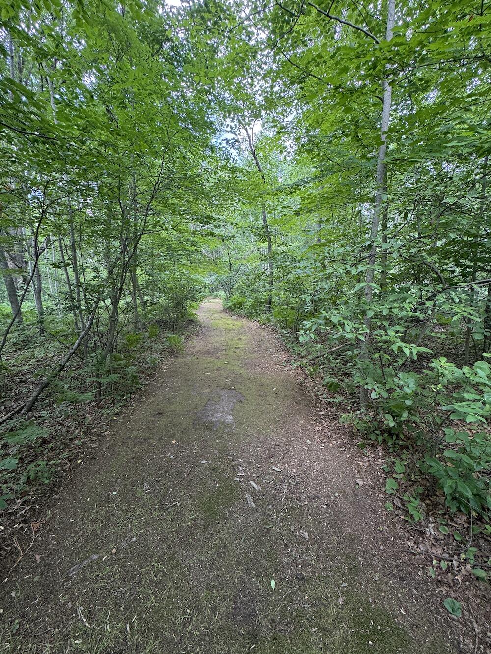 4563 Grim Road Bentley, MI 48613 - Photo 28 of 98 IMG_3334 2