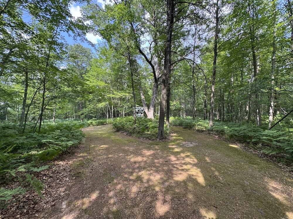4563 Grim Road Bentley, MI 48613 - Photo 36 of 98 IMG_3343 2
