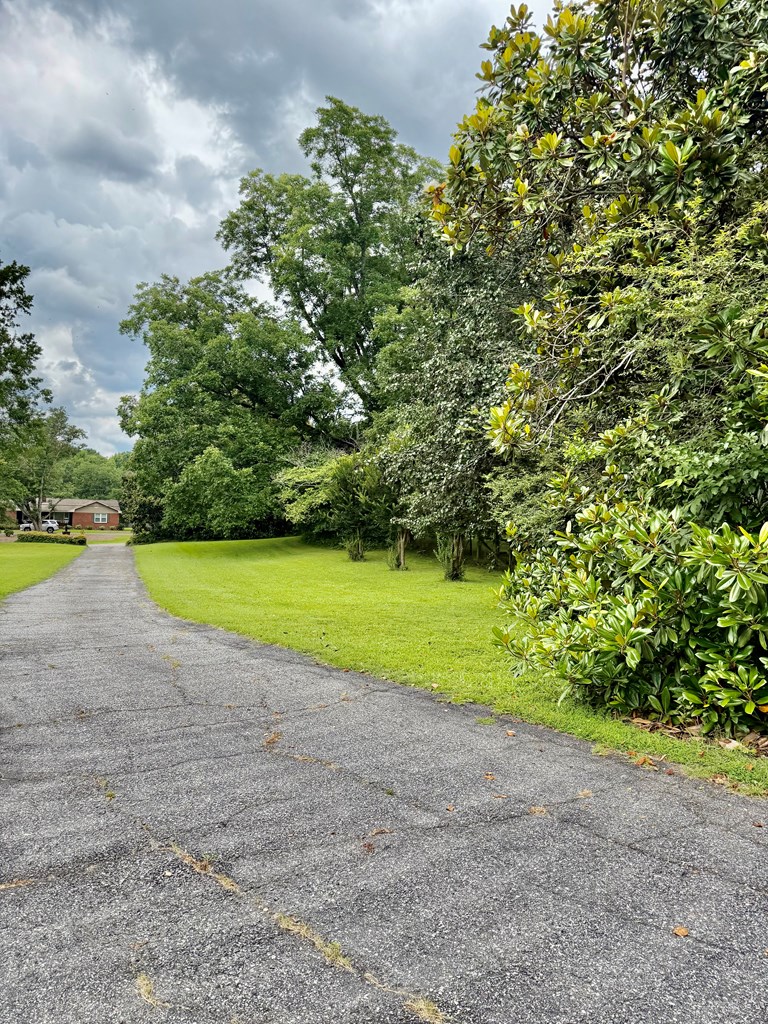 365 Ridgeway Road Waverly Hall, GA 31831 - Photo 9 of 71 Long driveway