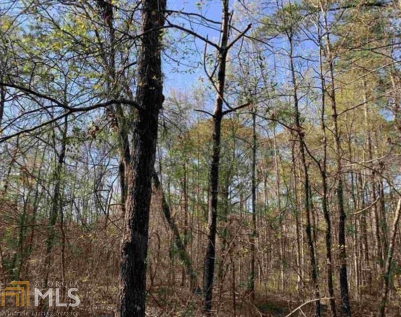 0 Mill Pond Road Rhine, GA 31077 - Photo 1 of 1 Gallery Image 1
