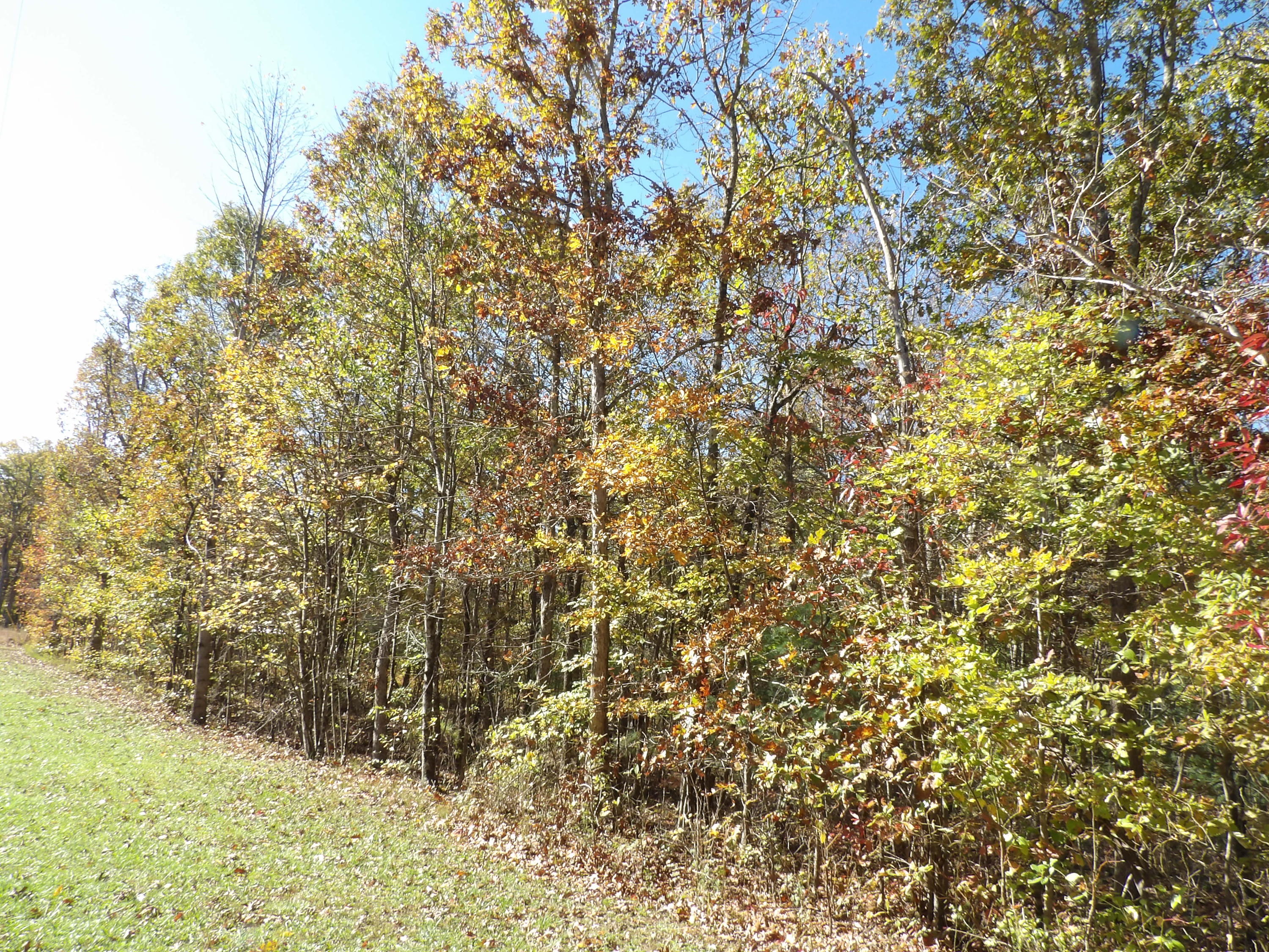 81 Lou Road, Unit 52 Pikeville, TN 37367 - Photo 35 of 43 100_1705