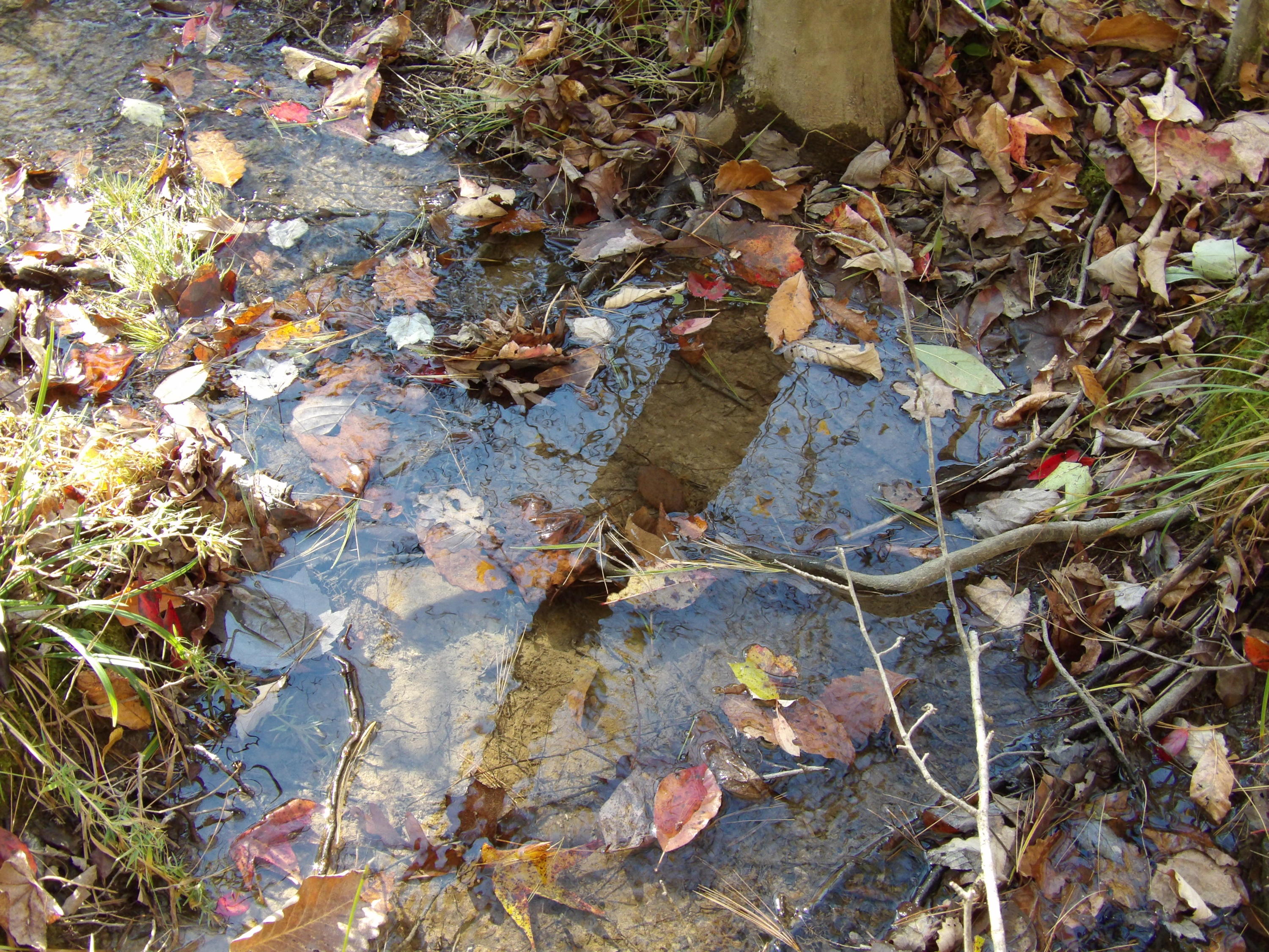 81 Lou Road, Unit 52 Pikeville, TN 37367 - Photo 36 of 43 100_1706