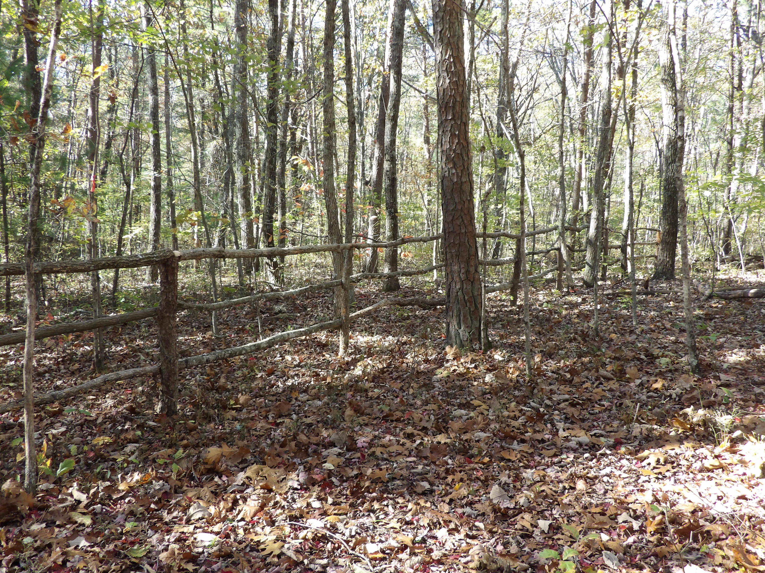 81 Lou Road, Unit 52 Pikeville, TN 37367 - Photo 37 of 43 100_1694