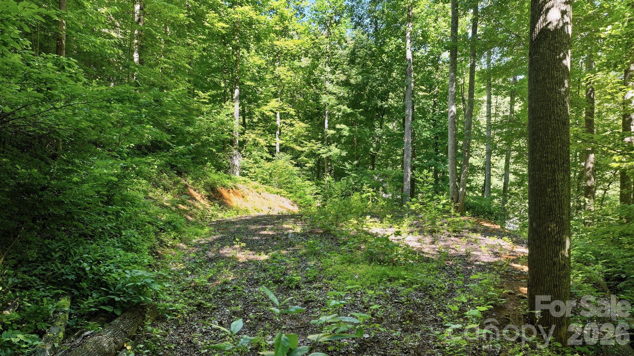 618 Dark Ridge Road Sylva, NC 28779 - Photo 15 of 18