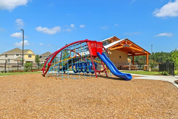 a view of a park with large trees