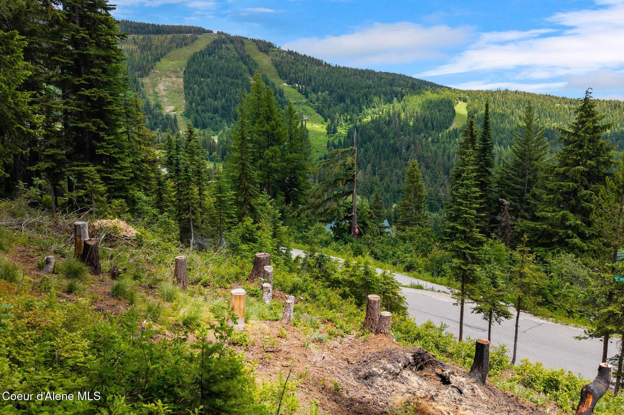 01 Mogul Hill Road Sandpoint, ID 83864 - Photo 2 of 26 4_DJI_20260703135102_0346_D