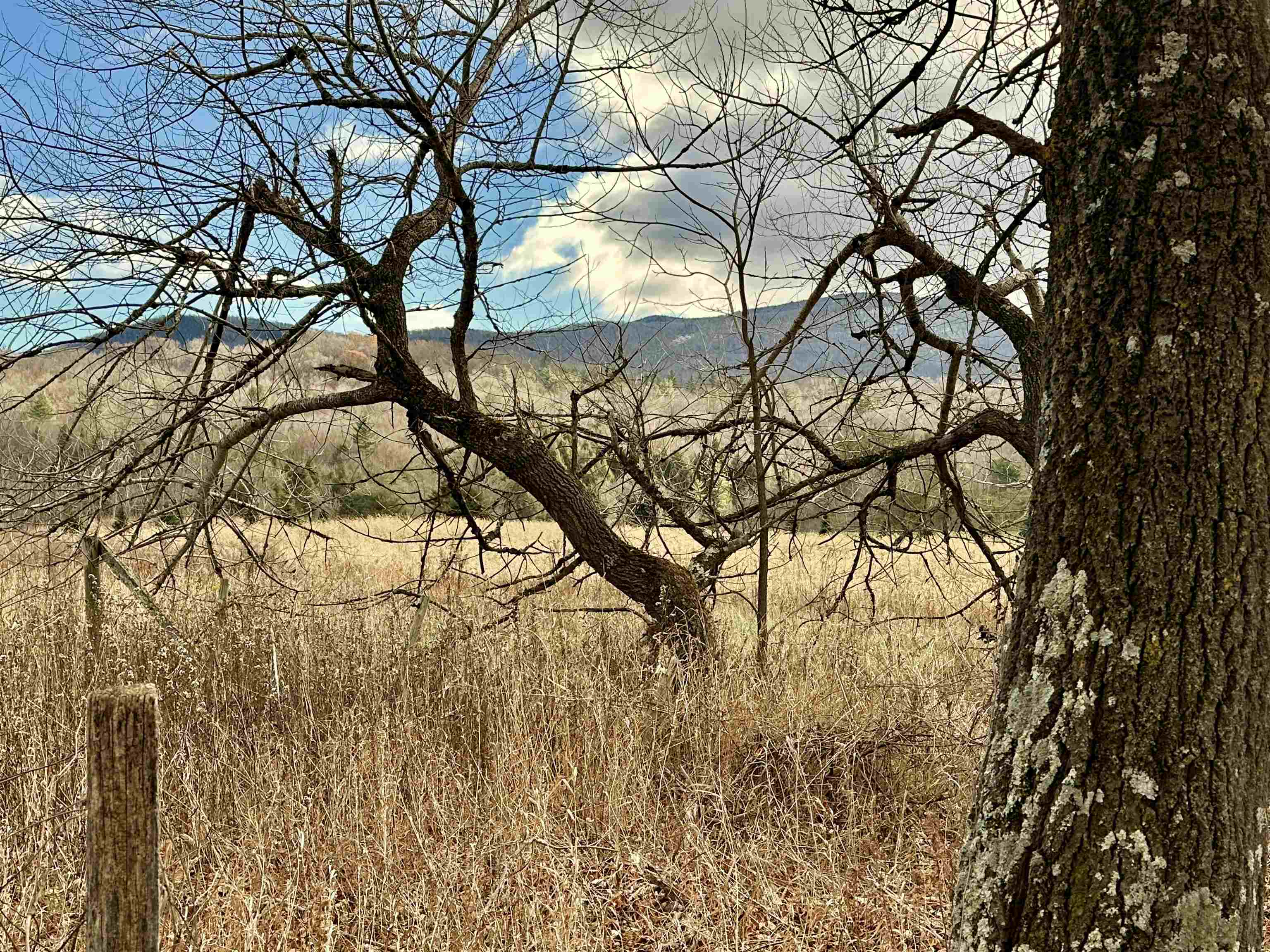 2652 Highway 133 Pawlet, VT 05761 - Photo 11 of 47