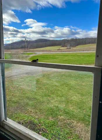 $199,500 | 2652 Highway 133, Pawlet, VT 05761
