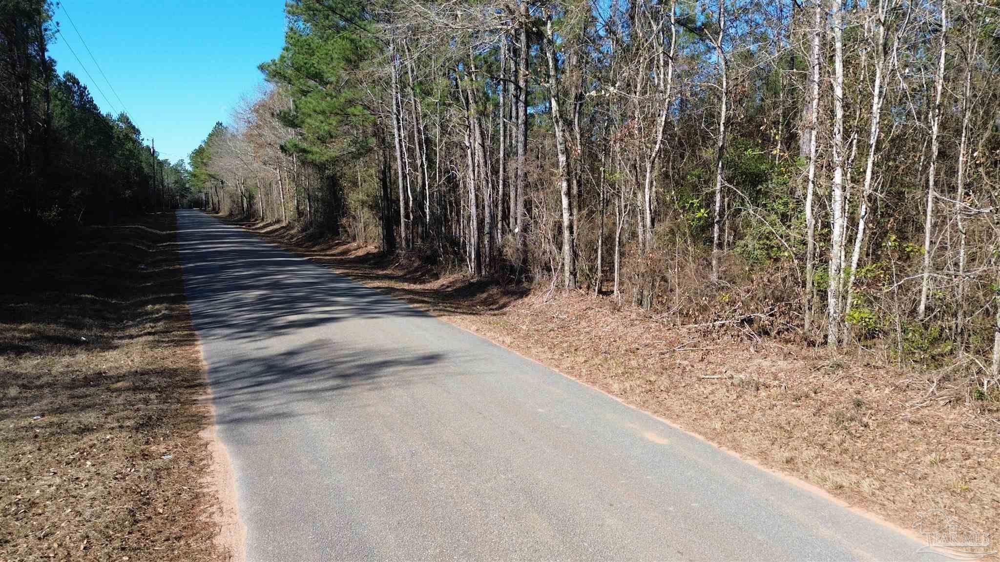 Lot 57 Mineral Springs Road Jay, FL 32565 - Photo 5 of 7