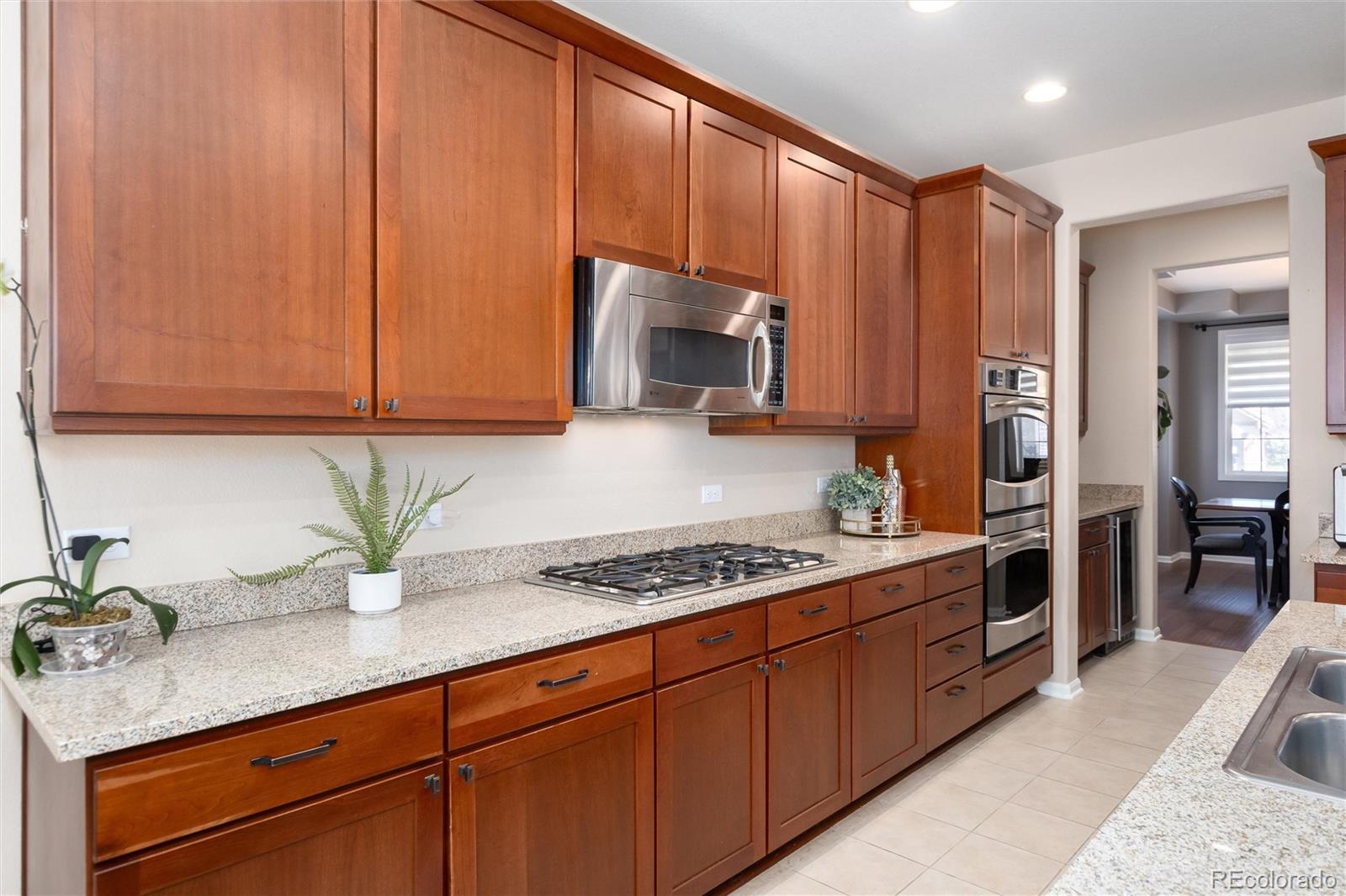 10480 Skyreach Road Highlands Ranch, CO 80126 - Photo 11 of 47