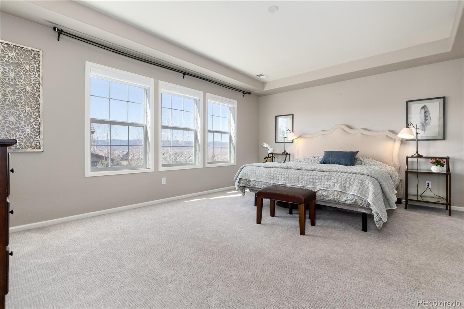 10480 Skyreach Road Highlands Ranch, CO 80126 - Photo 19 of 47