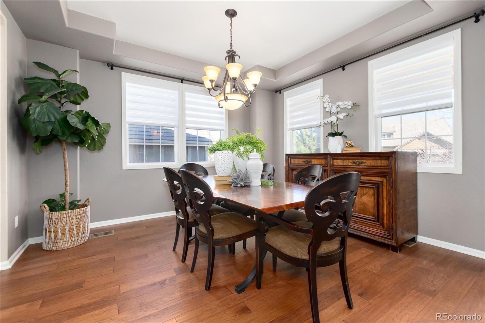 10480 Skyreach Road Highlands Ranch, CO 80126 - Photo 4 of 47