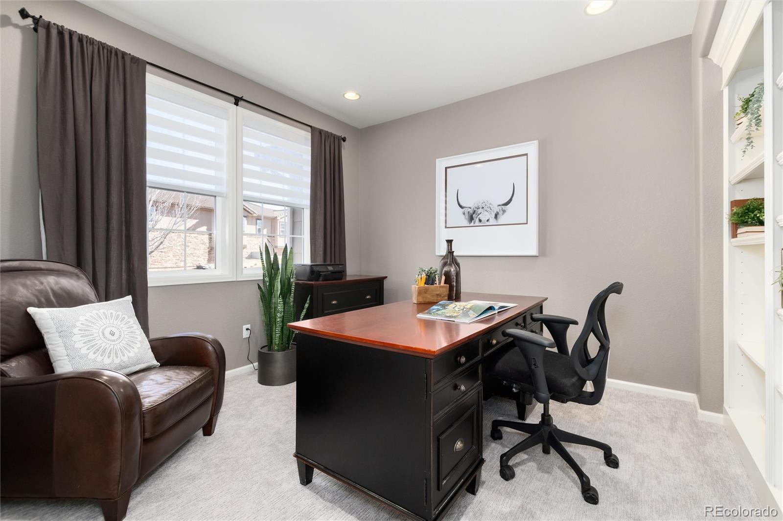 10480 Skyreach Road Highlands Ranch, CO 80126 - Photo 6 of 47