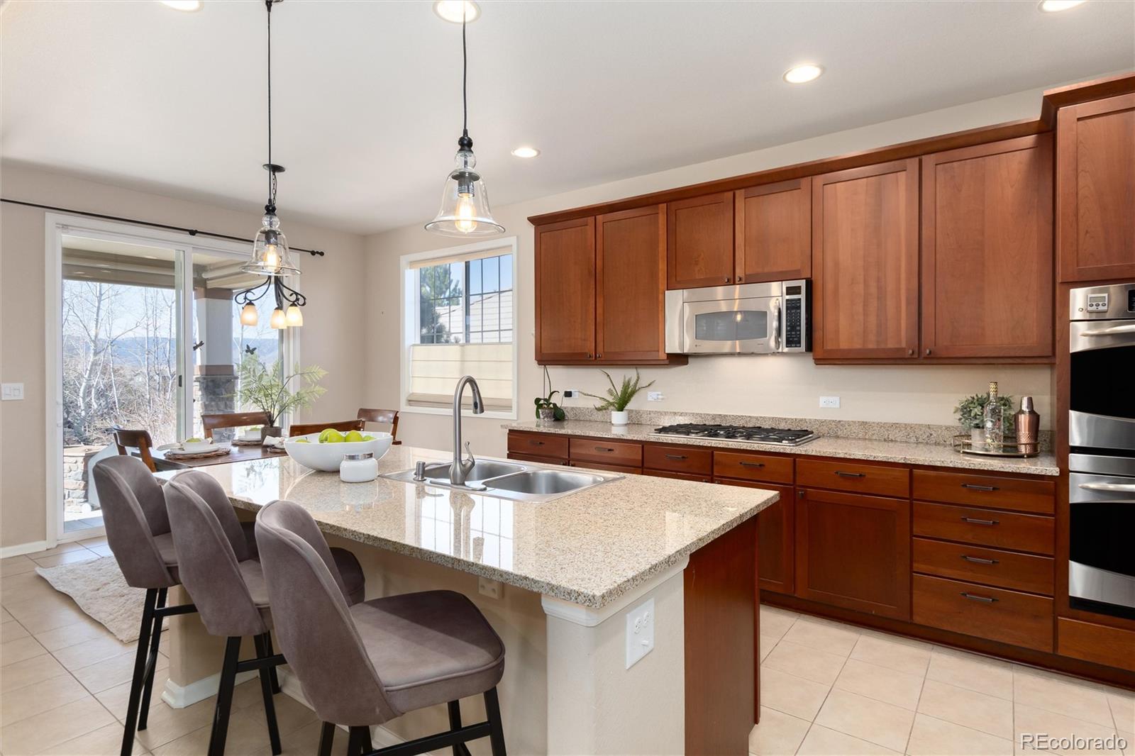 10480 Skyreach Road Highlands Ranch, CO 80126 - Photo 9 of 47