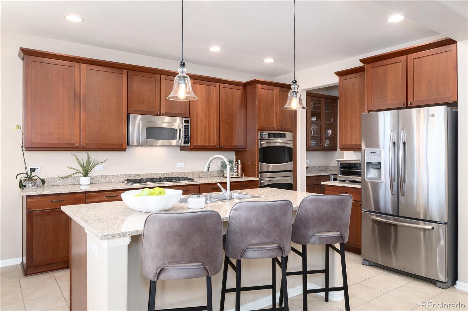 10480 Skyreach Road Highlands Ranch, CO 80126 - Photo 10 of 47