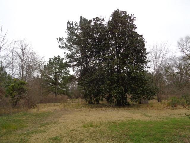 31005 Military Road Angie, LA 70426 - Photo 3 of 17