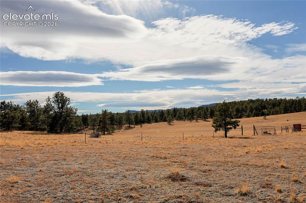 0 Twinkle Road Guffey, CO 80820 - Photo 2 of 20