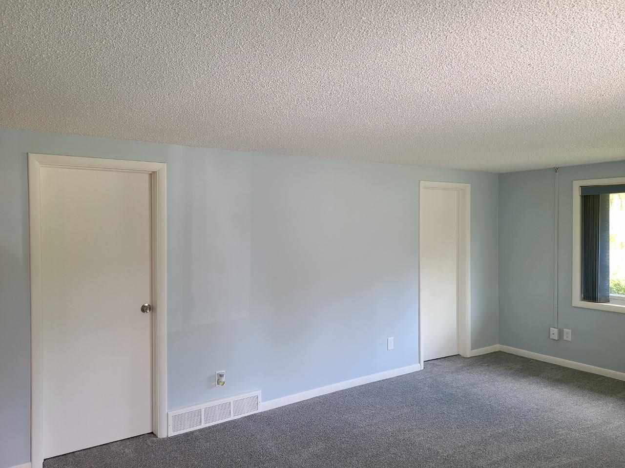 9217 Bridge Street Dimondale, MI 48821 - Photo 10 of 33 Gallery Image 10