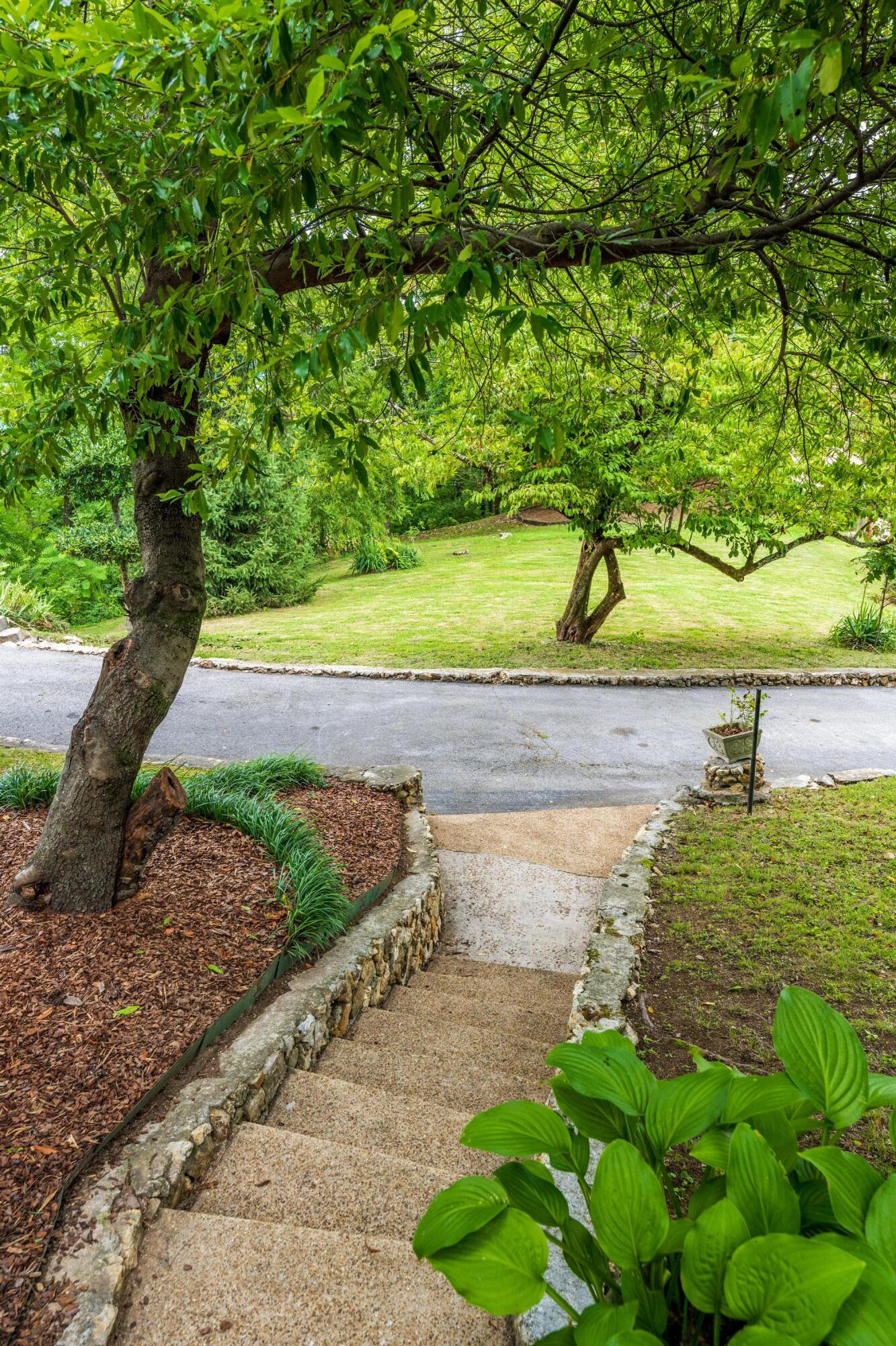 17 South Crest Road Chattanooga, TN 37404 - Photo 53 of 74 2022_07_July_17_S_Crest_Rd_0009 (1)