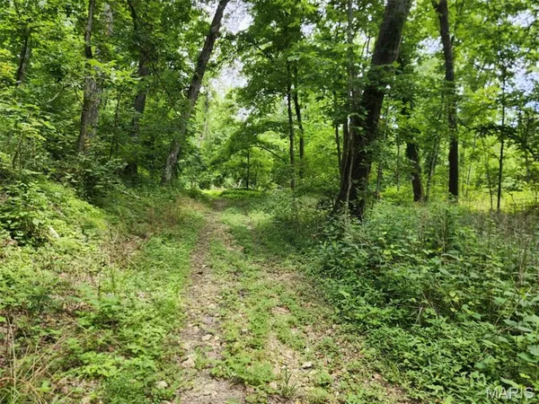 $750,000 | 0 West W Highway, Troy, MO 63379