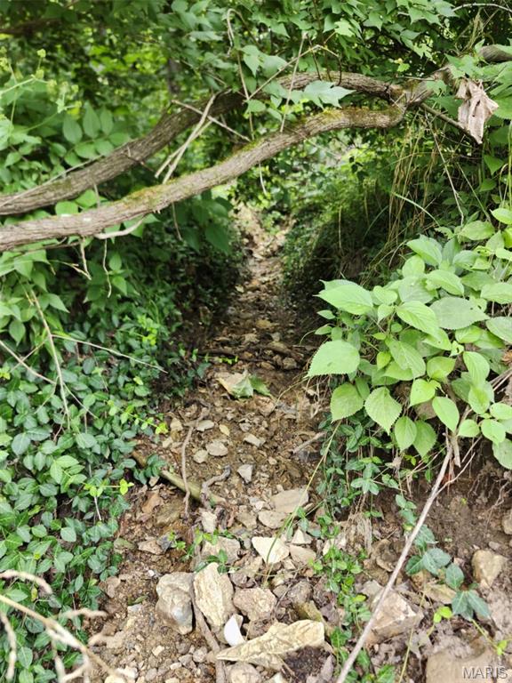 0 West W Highway Troy, MO 63379 - Photo 14 of 15