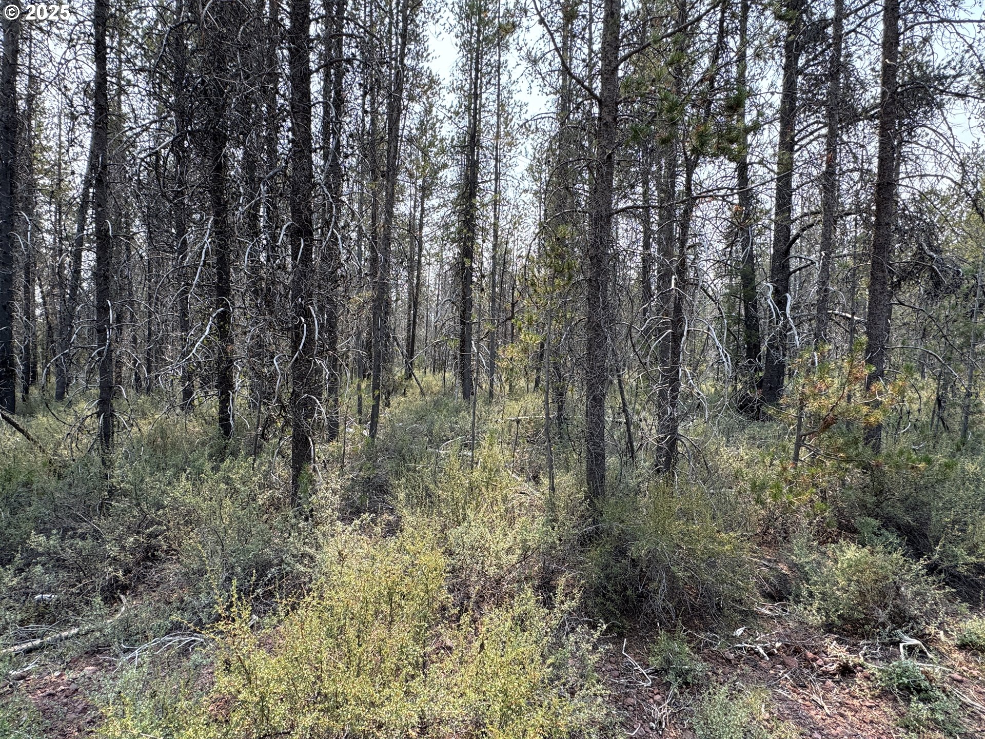 Cloudcap Drive, Unit 1 Chiloquin, OR 97624 - Photo 14 of 23