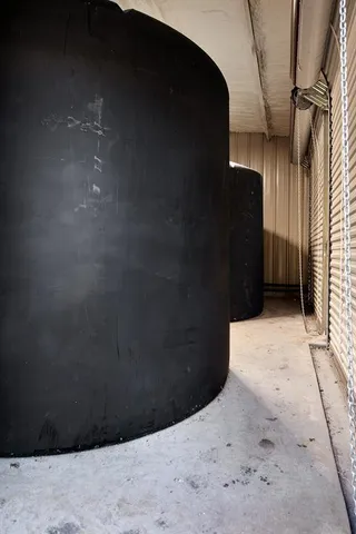 a view of a dry yard