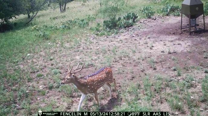 371 Axis Court Brady, TX 76825 - Photo 2 of 40