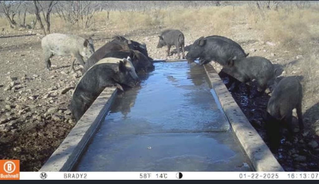 371 Axis Court Brady, TX 76825 - Photo 3 of 40