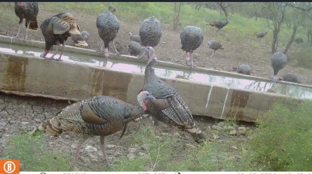 371 Axis Court Brady, TX 76825 - Photo 4 of 40