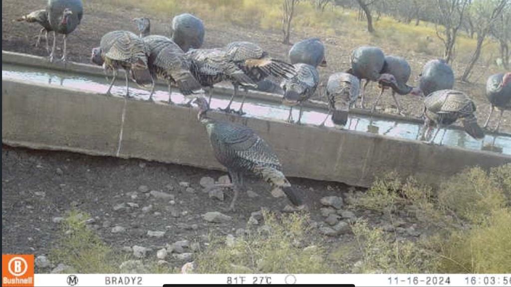 371 Axis Court Brady, TX 76825 - Photo 5 of 40