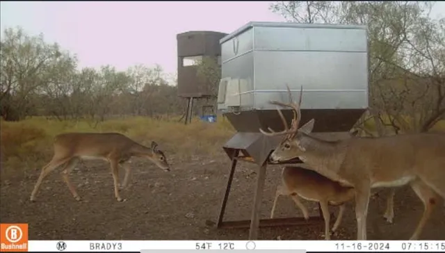 a view of a house with wooden fence