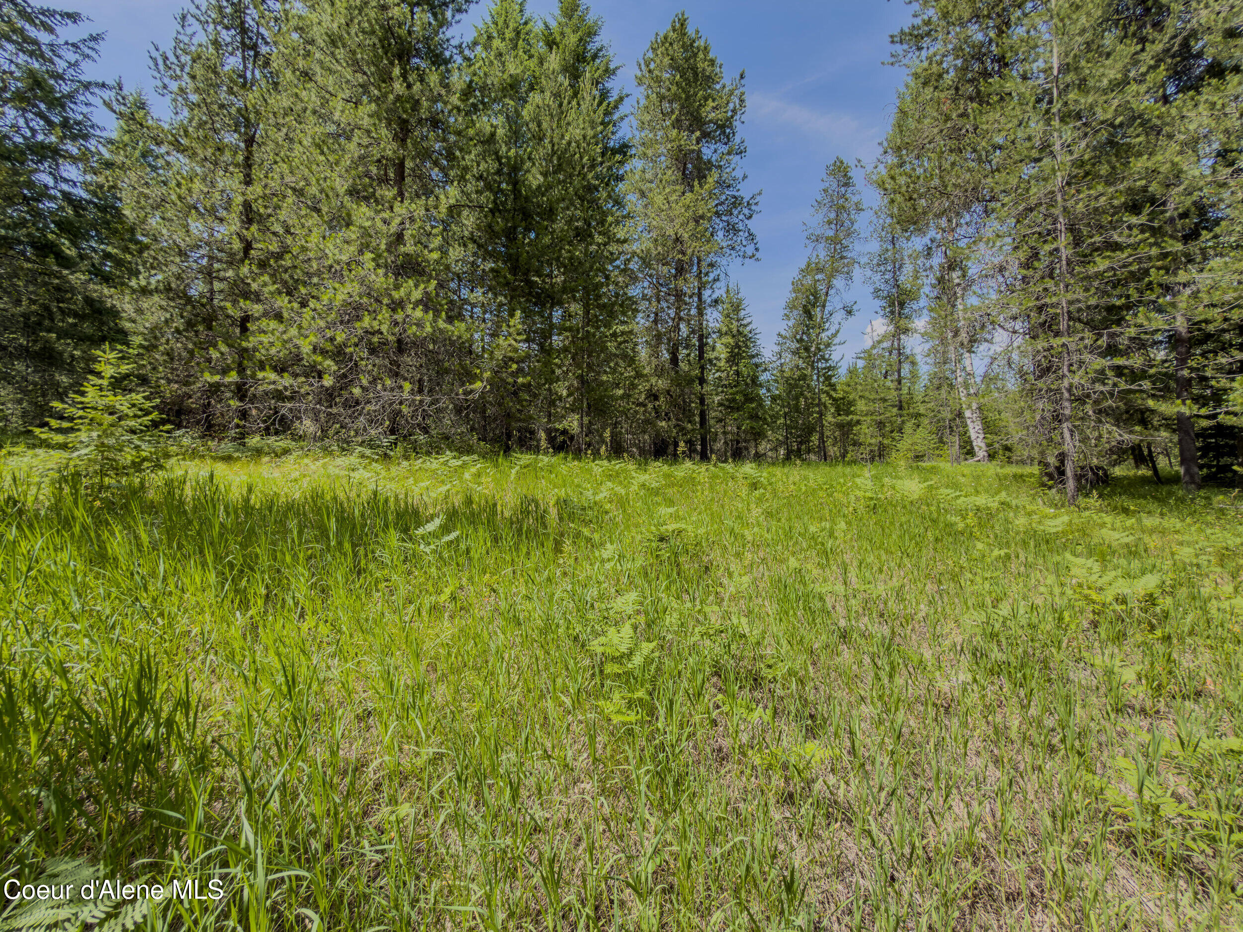 321 Winterton Road Sandpoint, ID 83864 - Photo 16 of 24 20_img_4807