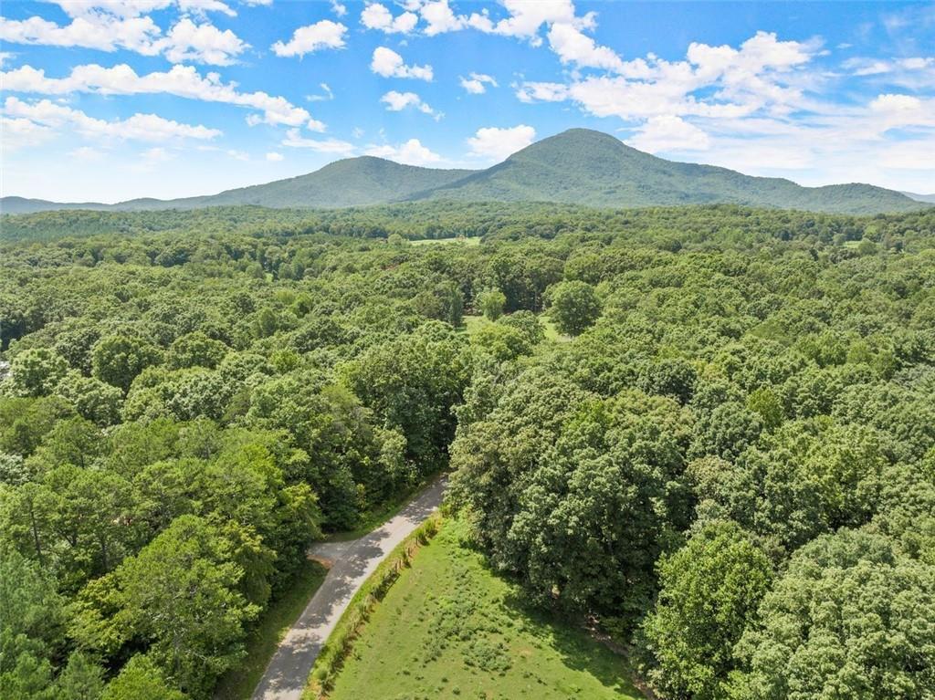 0 Arthur Allen Road, Unit 2 Cleveland, GA 30528 - Photo 5 of 14