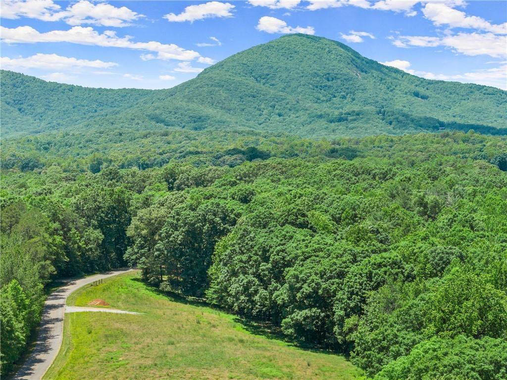 0 Arthur Allen Road, Unit 2 Cleveland, GA 30528 - Photo 7 of 14