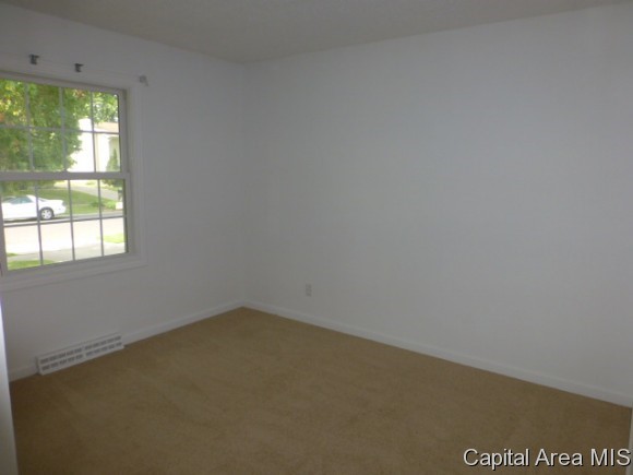 2917 East Griffiths Avenue Springfield, IL 62702 - Photo 7 of 13