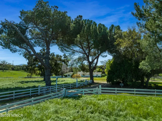a view of a park with large trees