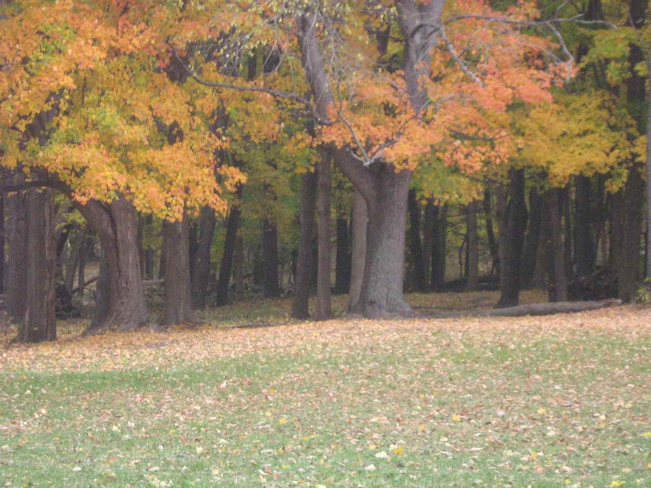55405 Timothy Road New Carlisle, IN 46552 - Photo 9 of 27 Gallery Image 9