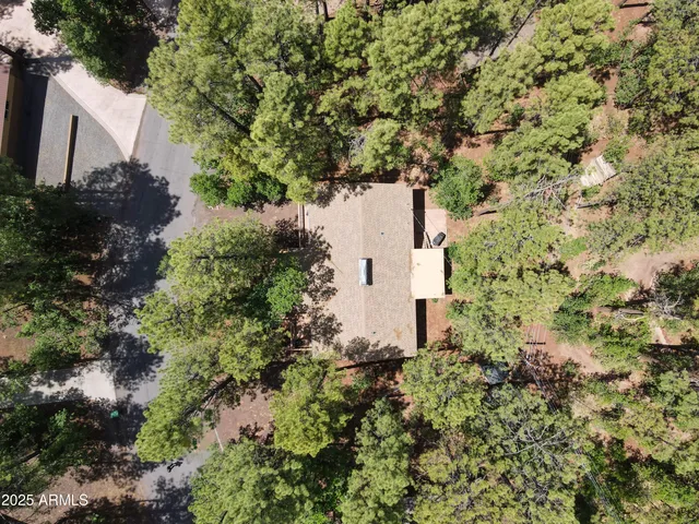 a backyard of a house with a garden and plants