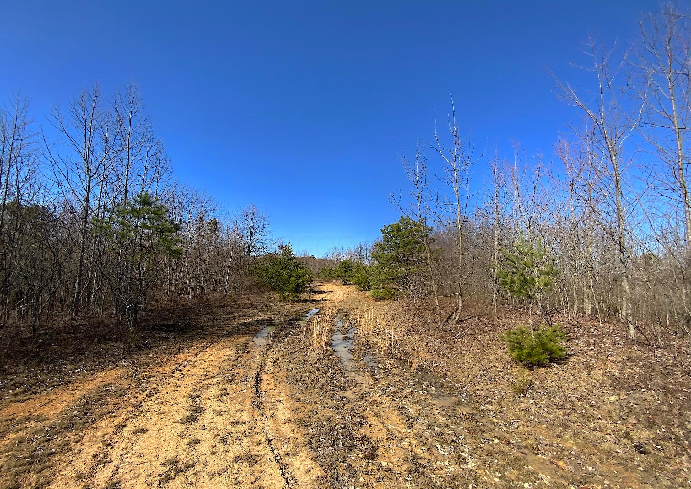 0 Kelly Road Ray, OH 45672 - Photo 23 of 46 Vinton County Kelly Rd 22