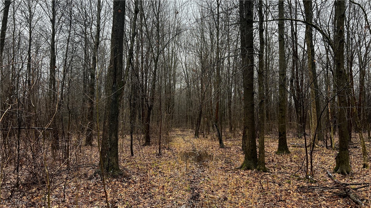 Braceville Robinson Rd Road Newton Falls, OH 44444 - Photo 27 of 50 Gallery Image 27