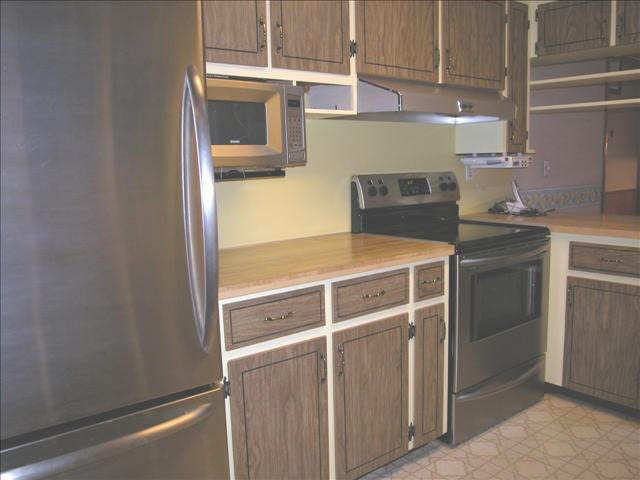 738 Ruff Drive Monroe, MI 48162 - Photo 8 of 20 Stainless appliances