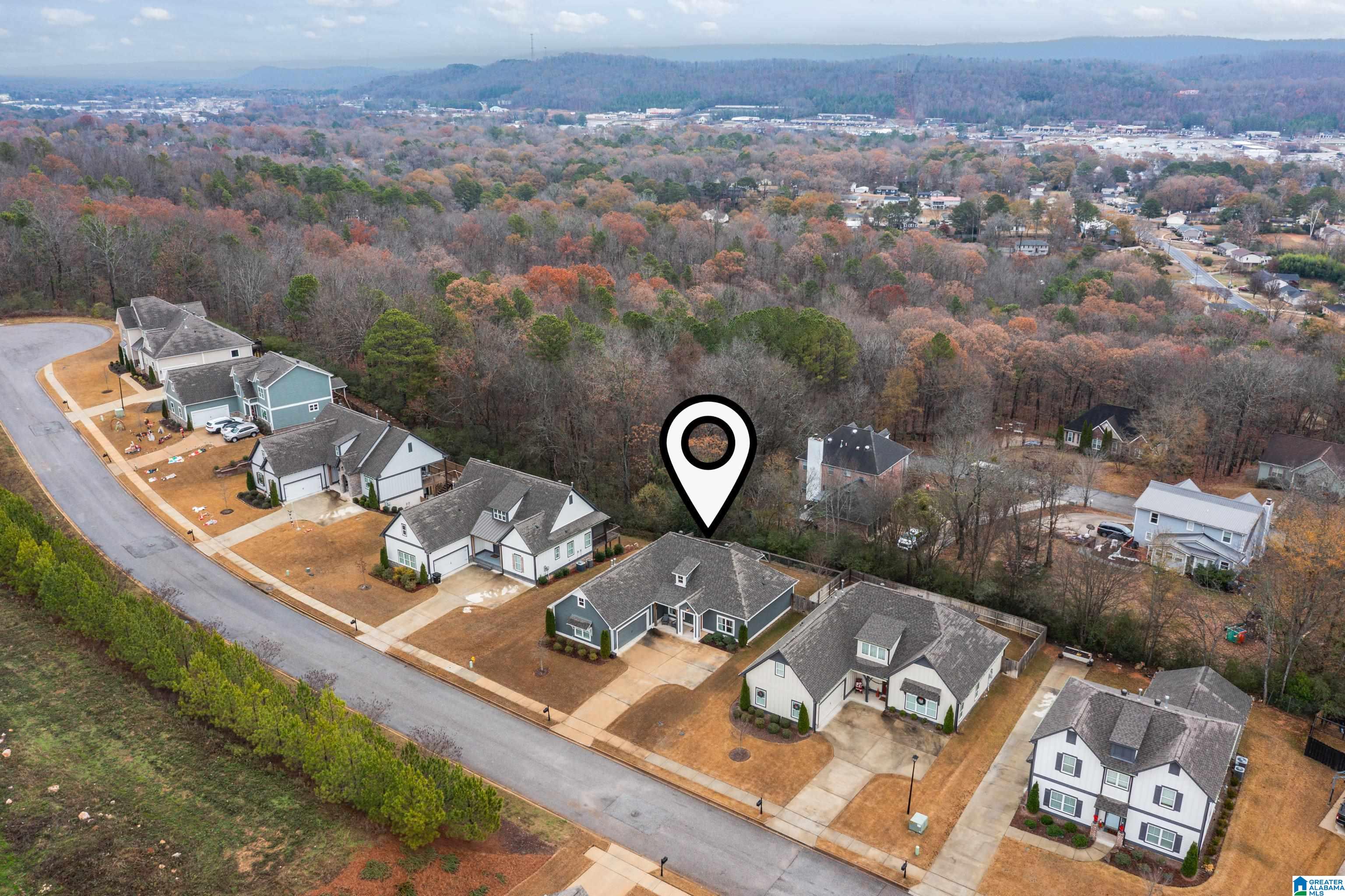 4026 Camellia Ridge Cove Pelham, AL 35124 - Photo 51 of 56