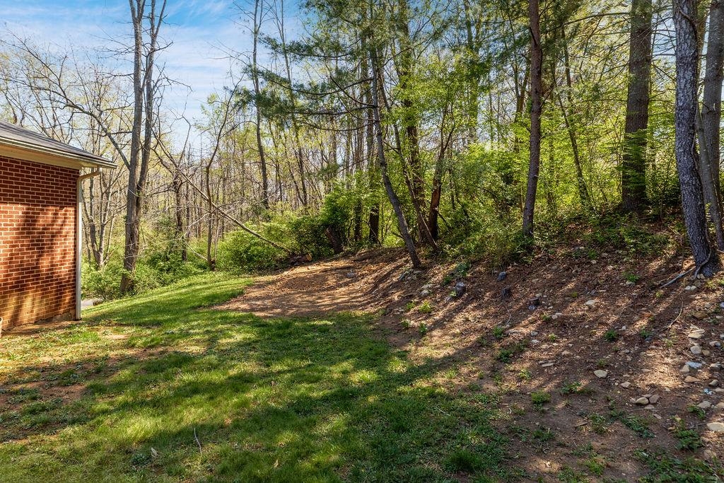 2051 Mt Torrey Road Lyndhurst, VA 22952 - Photo 18 of 67 a view of backyard with green space